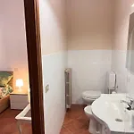 Biba Tra Lucca E Pisa Avane