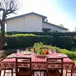 Biba Tra Lucca E Pisa