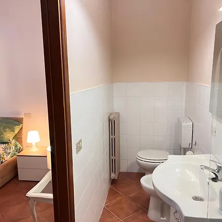 Biba Tra Lucca E Pisa Avane