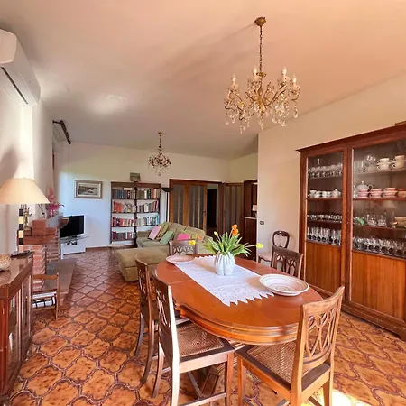 Biba Tra Lucca E Pisa Avane