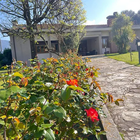 Biba Tra Lucca E Pisa Casa de Férias *