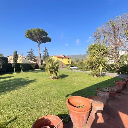 Biba Tra Lucca E Pisa *